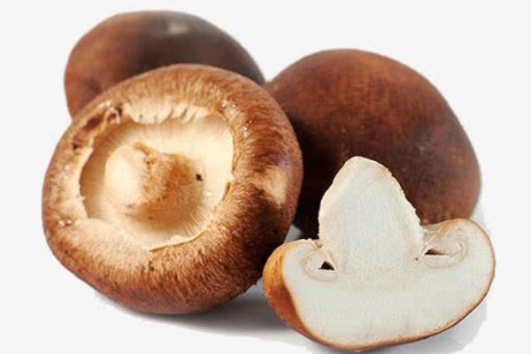 吃香菇胃疼是什么原因 吃香菇胃疼怎么缓解