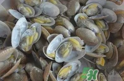 ​花蛤蜊什么时候最肥？花蛤蜊怎么挑选