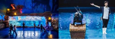 ​济南融创海世界：探秘多彩海洋 开启海底之旅