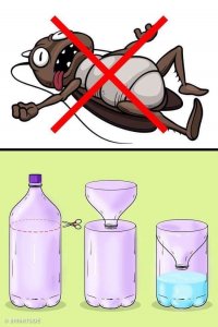 ​驱虫的方法有哪些呢(10种健康无害的纯天然驱虫方法，实测有效！0