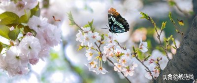 ​淘宝人工投诉电话号码多少（网购投诉找哪个部门）