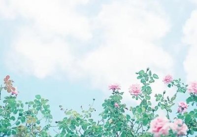 ​壁布贴多少钱一平方墙布一平方多少钱