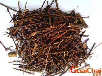 ​钩藤功效作用与主治 钩藤图片