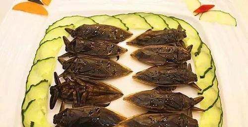 桂花蝉能吃,桂花蝉怎么吃效果最好图1