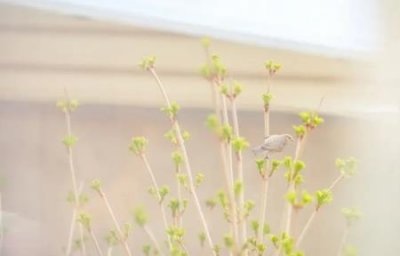 ​手中持有退市股票怎么办？退市了手里的股票怎么办？