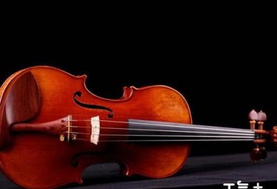​小提琴什么牌子的好,小提琴哪个牌子的好一点初学者
