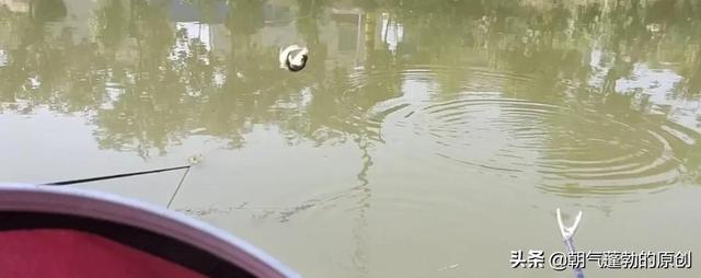 海边钓鱼技巧及方法（新手钓鱼小技巧）(2)