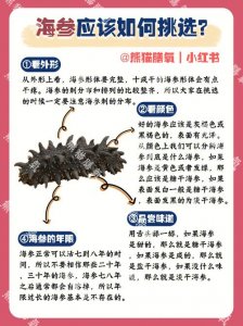 ​如何挑选海参（要从三个地方考虑）