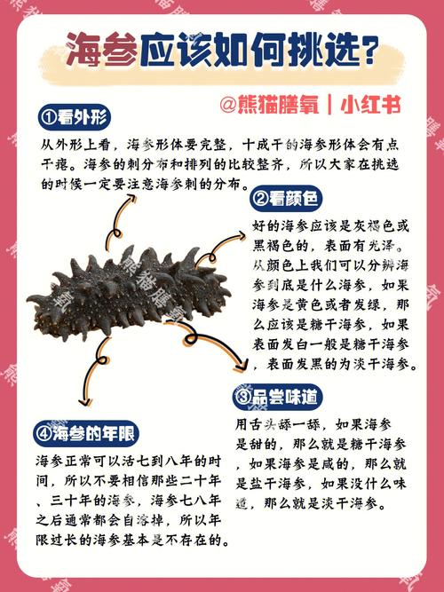 如何挑选海参(要从三个地方考虑)