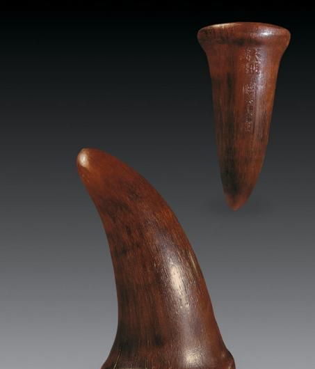 犀牛头上有多少只角