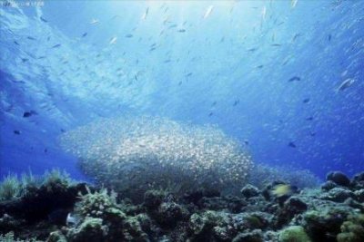 ​大连到昆明旅游路线大连到昆明多长时间