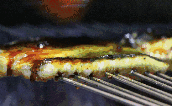 虎鳗和海鳗的区别（麻鱼海鳗傻傻分不清楚）(2)