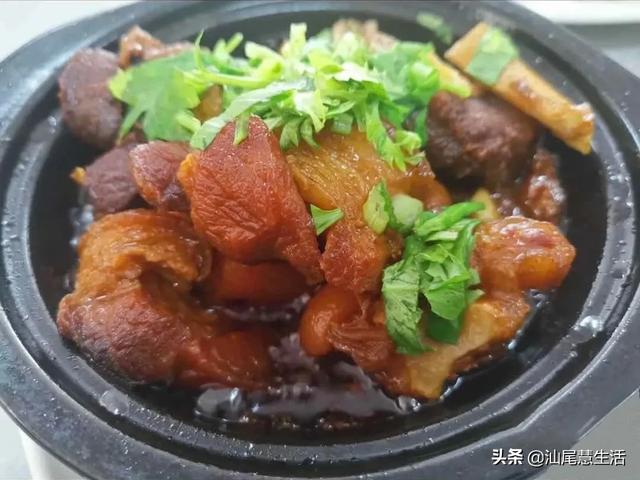 虎鳗和海鳗的区别（麻鱼海鳗傻傻分不清楚）(6)