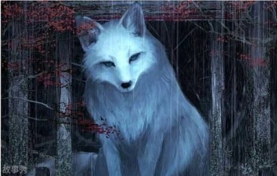 ​出马仙是什么意思 是修炼成仙的动物(胡黄白柳灰)