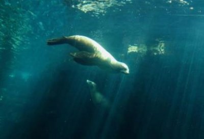 ​山东龙口自驾济南到龙口自驾