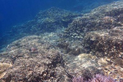 ​英国爱丁堡有哪些必游景点