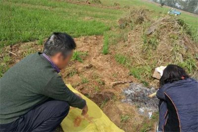 ​清明节上坟除草 有什么讲究要注意