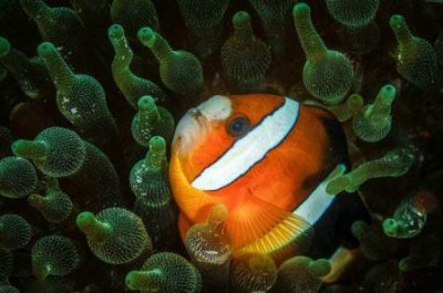 ​广州番禺游玩必打卡景点