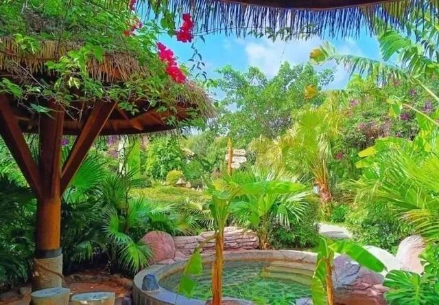 春节旅游必去的地方有哪些（这份游玩攻略请收下）(30)