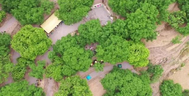 春节旅游必去的地方有哪些（这份游玩攻略请收下）(28)