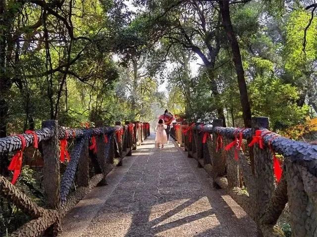 春节旅游必去的地方有哪些（这份游玩攻略请收下）(12)