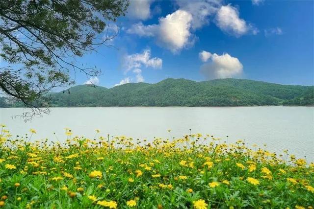 春节旅游必去的地方有哪些（这份游玩攻略请收下）(18)