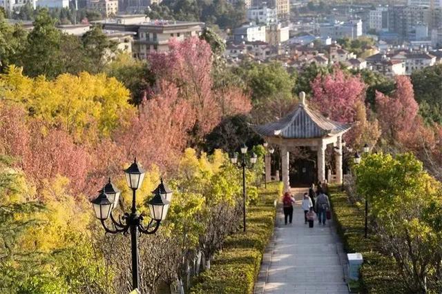 春节旅游必去的地方有哪些（这份游玩攻略请收下）(5)