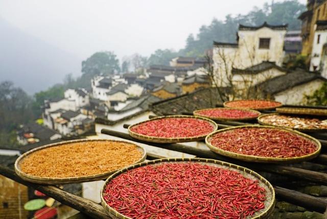 江西庐山婺源三清山旅游攻略(江西风景独好三清山)(7)