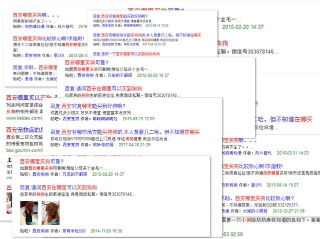 狗市场买狗靠谱吗（第一次卖狗竟然全是坑）(2)