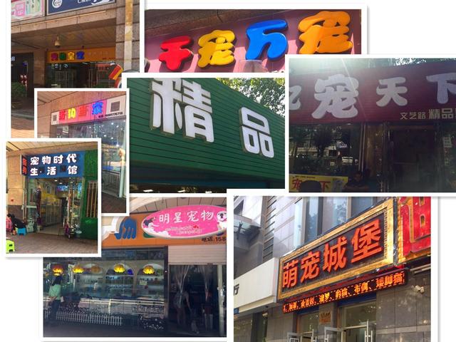 狗市场买狗靠谱吗（第一次卖狗竟然全是坑）(6)