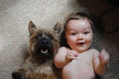 狗市场买狗靠谱吗（第一次卖狗竟然全是坑）(1)