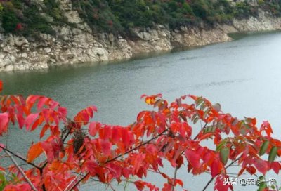 ​秦岭山里的石砭峪你知多少