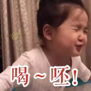 ​婊里婊气是什么（婊里婊气是什么意思）