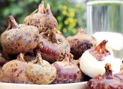 ​荸荠怎么剥皮最简单方法与技巧