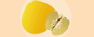 ​柚子茶苦味怎么去除