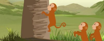 ​热带雨林中有什么