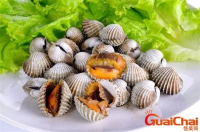 ​毛蚶的做法水煮几分钟？毛蚶的功效与作用