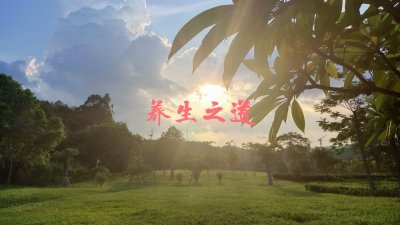 ​神经衰弱吃什么食物恢复最快（神经衰弱吃什么食物调理恢复快 怎样分型 调整食