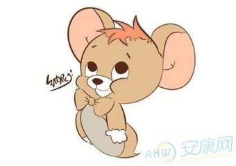 锦绣前程代表什么动物_谜底解释