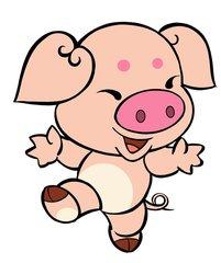 锦绣前程代表什么动物_谜底解释