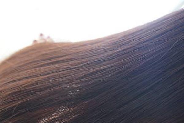 生活焗油要把头发洗干净吗 焗油是干头发好还是湿头发好  2