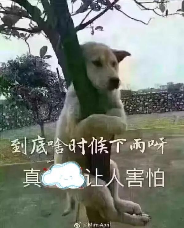 长春最新暴雨情况（长春人暴雨大暴雨又要来了）(5)