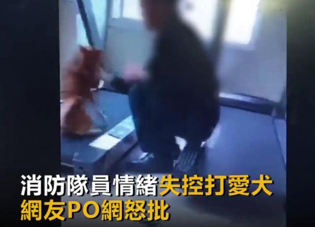 打狗英雄？消防员情绪失控打爱犬，疑似虐待动物，引发网友怒批