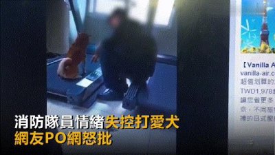 ​打狗英雄？消防员情绪失控打爱犬，疑似虐待动物，引发网友怒批