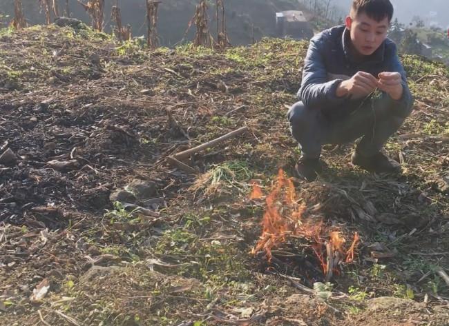 农村山里常见的“野葱”营养价值高, 可惜许多人不知道