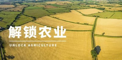 ​泰国的大米好还是东北大米好（为什么泰国大米屡获）