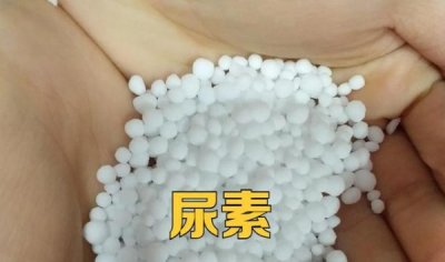 真 *** 钾是什么味道( *** 钾用火烧是什么样)