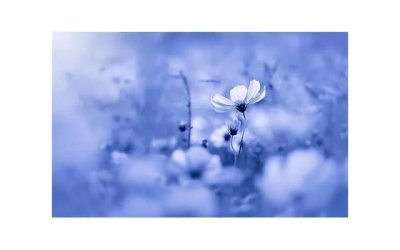 ​女上体位有什么技巧 女上体位男人都喜欢吗