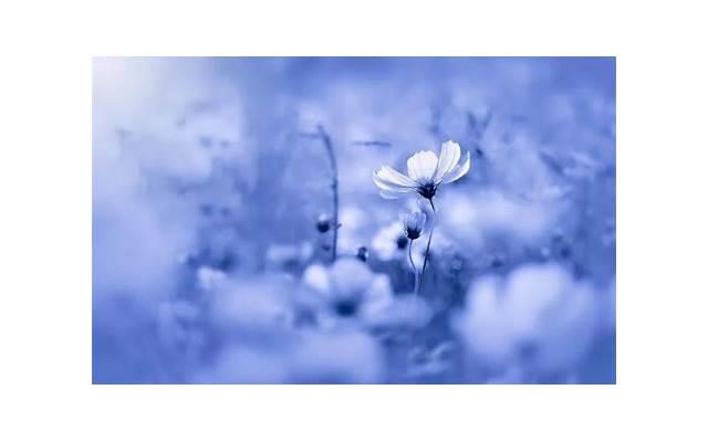 女上体位有什么技巧 女上体位男人都喜欢吗