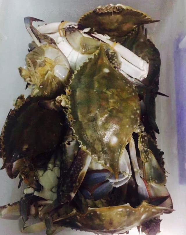 家常梭子蟹炒年糕的做法(微距离魔幻厨房)(3)